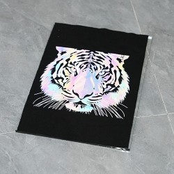 Folia Dtf X600 Colorfull Reflective 0,60x100m