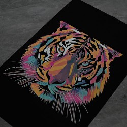 Folia Dtf X600 Colorfull Reflective 0,60x100m