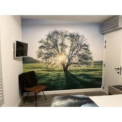 Folia Samoprzylepna Ikonos Grafityp White Glossy GEF 01 1,22x50m (bez pcv)