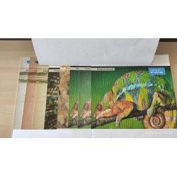Tapeta Do Druku Embosowana Flizelinowa Ikonos Wall Premium Fine Stucco 1,067x50m  270g 344641